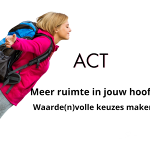 ACT coaching meer ruimte in jouw hoofd. Waarde(n)volle keuzes maken.