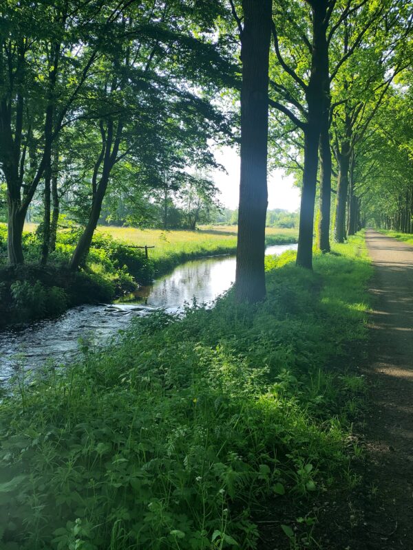 Wandelcoaching