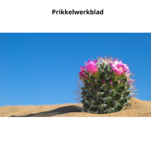 Gratis oefening om prikkels in kaart te brengen