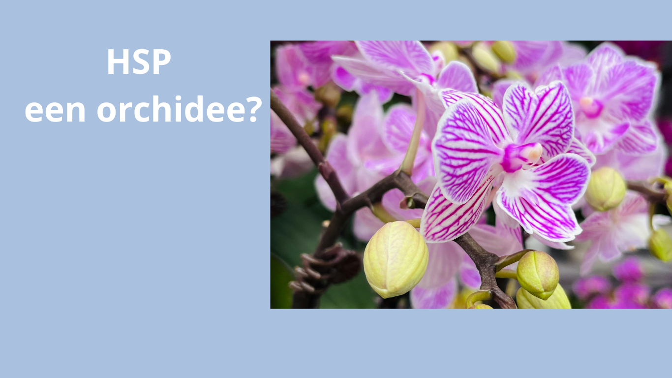 HSP wordt vergeleken met een orchidee