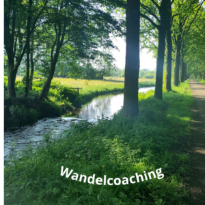 HSP Wandelcoaching