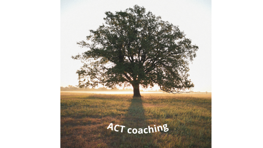 ACT coaching